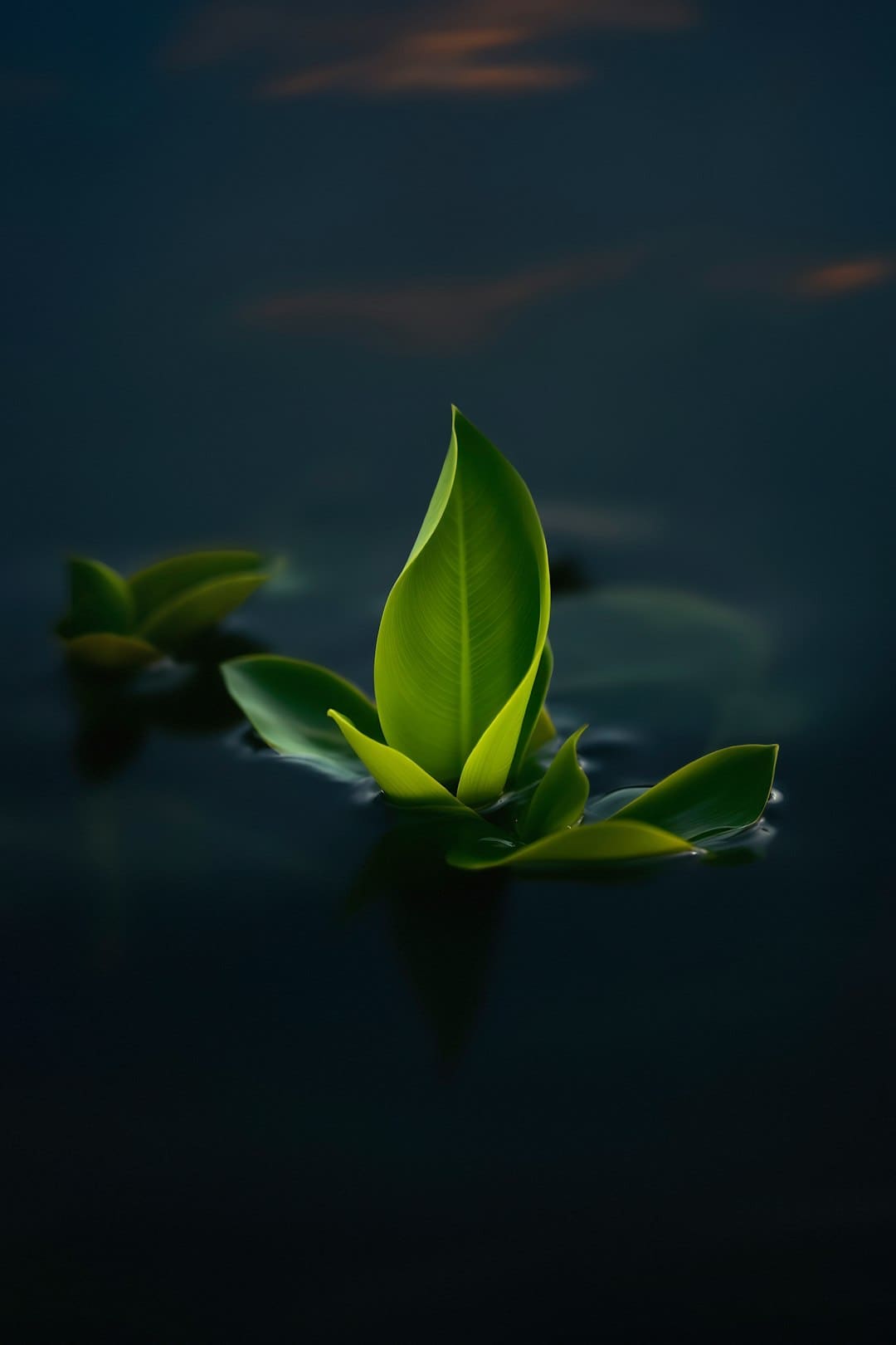 华泰证券：看好商场+成绩预期持续性增强下的券商估值修正时机